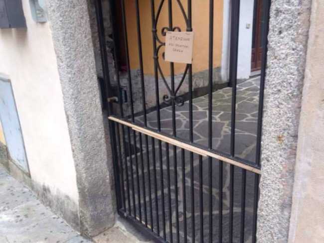 chiodi gatti pallanza