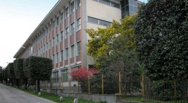 franzosini