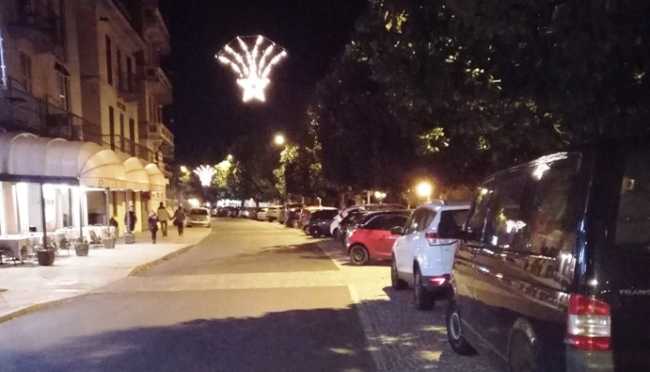 p diffusa pallanza