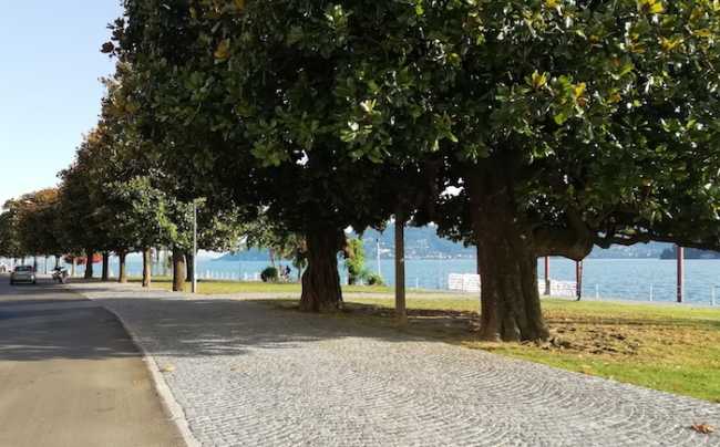 pallanza lungolago2