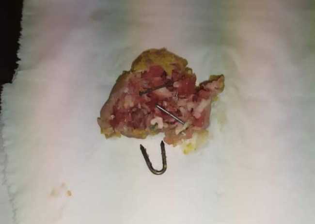 polpetta avv