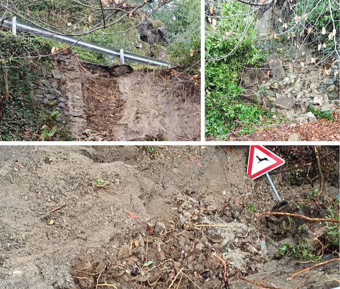 Stresa: frana a Magognino, albero sulla provinciale a Someraro