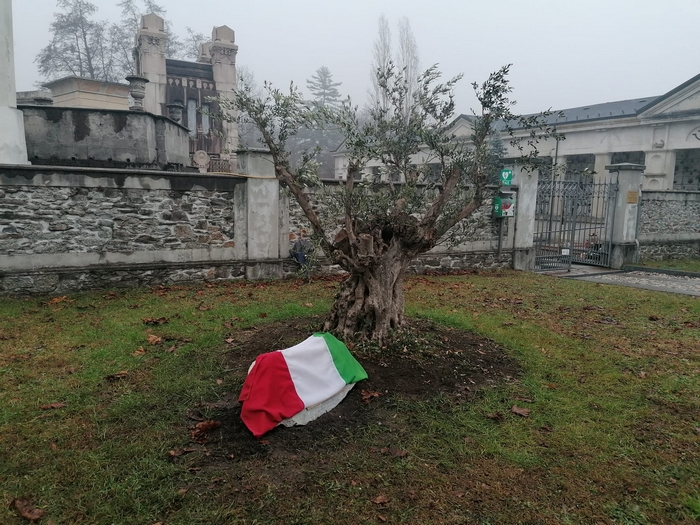 vignone 3