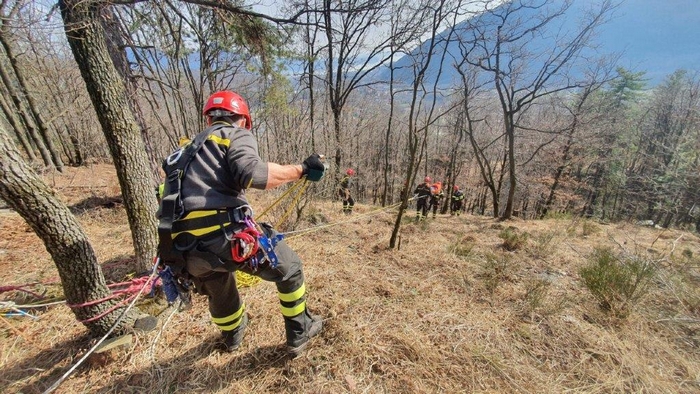 Infortunio simulato nel bosco: esercitazione dei vigili del fuoco (foto)