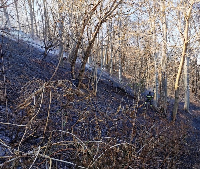 Rogo di Someraro: 71enne multato per 10mila euro e denunciato per incendio colposo