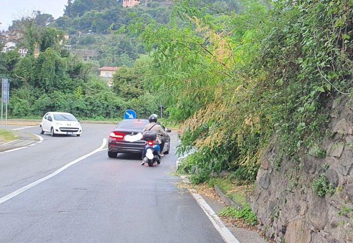 Quei rami che invadono la strada, toccano i veicoli e nessuno rimuove