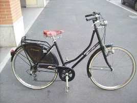 bicicletta holland