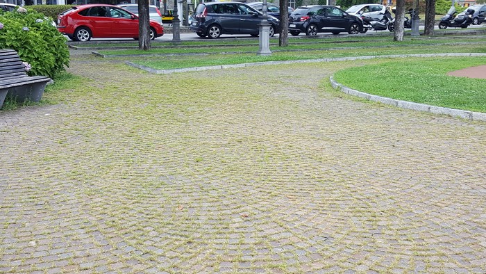 Il “prato” del lungolago e le erbacce a bordo strada: sos sfalcio e diserbo (foto)