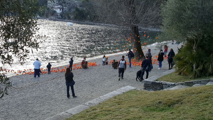 Agrumi di Cannero, in diecimila per il decennale (foto)