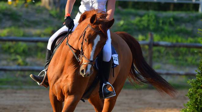 Quattordicenne cade da cavallo al maneggio