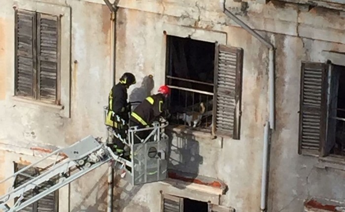 Il gatto intrappolato nella villa abbandonata salvato dai vigili del fuoco (foto)