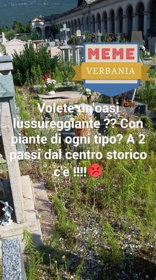 37404772 855851874606680 7589530928012066816 n