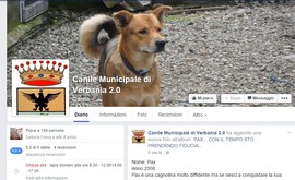canile 2.0 sociale