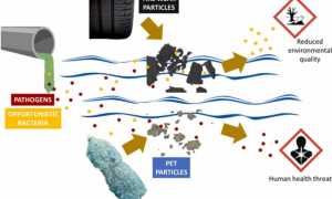 1 s2.0 S0304389422001856 ga1 lrg