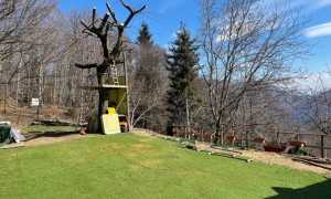 162854186 10224880549424101 7342241291180767770 n