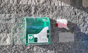 185585699 4008419195940808 3516184060498002172 n