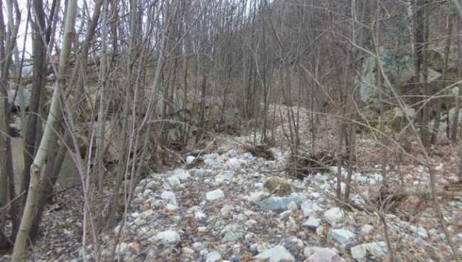 197288646 1497672033911017 6201883717667559200 n