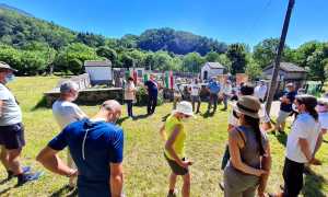 201128692 5720423427999472 2225693539321146140 n