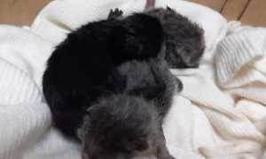 230642563 3025813521041682 3305299633860448476 n