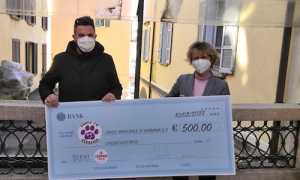 271778194 1781383342056788 3289208481313600042 n