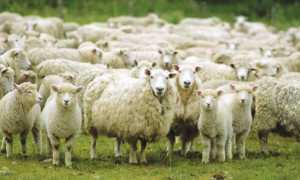 3BD26CD0 BD2A 49EE 8597 4A2DDE0AB114 678x3811