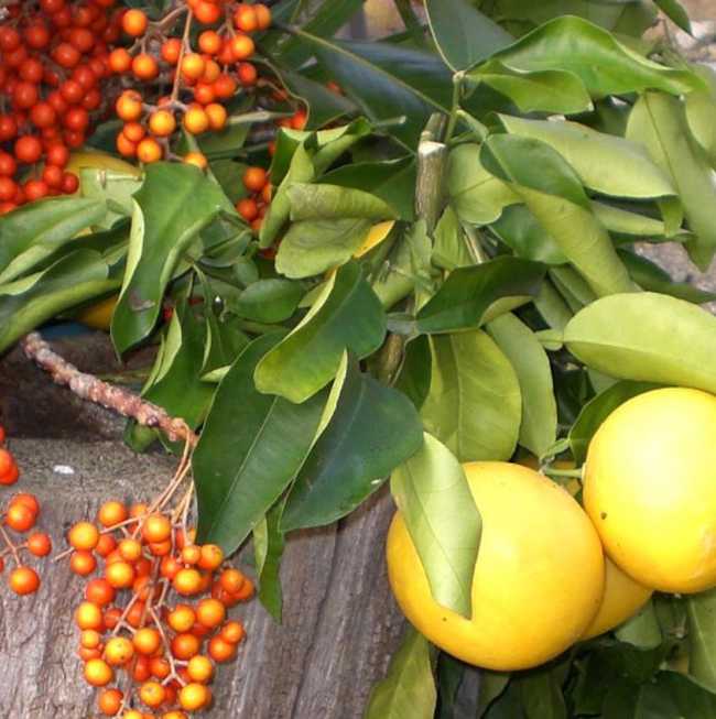 420566686 762504519240211 2777756968439859120 n