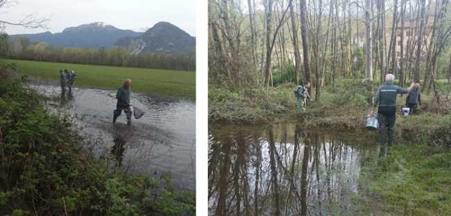 436924781 824066576426306 4226975699301222458 n copia