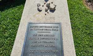 452632259 10229084131186266 5676880096507741466 n