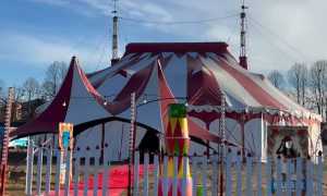 476807702 122187400568146264 1074633443019973632 n