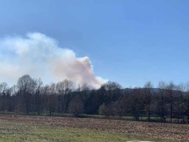 55495127 2353613897996209 7073259959063937024 n