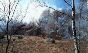 55644695 10218480640272450 3952887238366330880 n