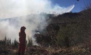 55887747 2353613754662890 7142533989092294656 n