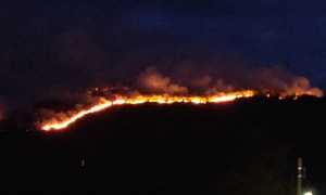 IMG 17042022 123322 700 x 331 pixel