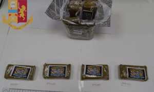 IMG 20230406 131506 700 x 525 pixel