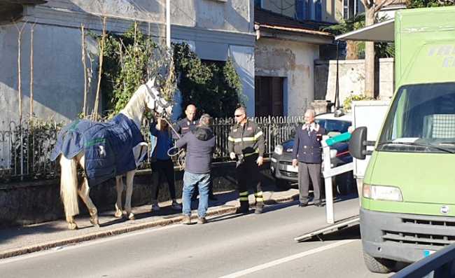 IMG 20231215 130144 700 x 428 pixel