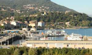 Intra porto alto copia