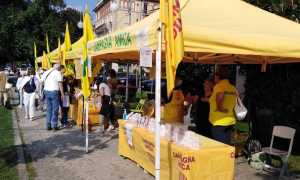 Mercato 12 settembre Verbania