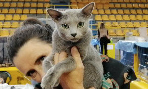 Schermata 2023 10 22 alle 17.58.47