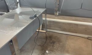 Schermata 2024 05 04 alle 14.31.16