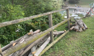 Schermata 2024 09 28 alle 09.59.23