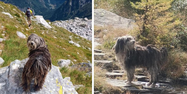 Schermata 2024 11 21 alle 16.35.01