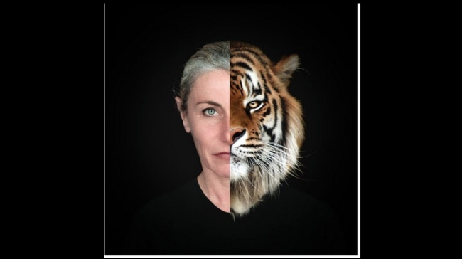 Schermata 2025 03 14 alle 07.59.06