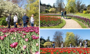 Schermata 2025 06 10 alle 13.45.58