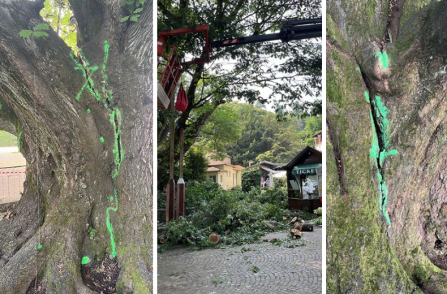 Schermata 2025 06 16 alle 07.14.57