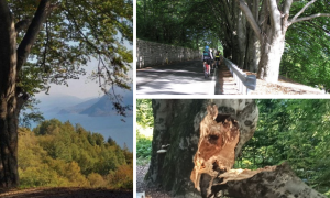 Schermata 2025 07 26 alle 13.57.48