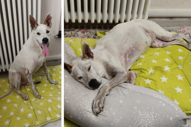 Schermata 2025 11 25 alle 15.31.54