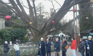 Schermata 2025 11 29 alle 16.58.13