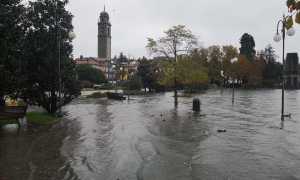 WhatsApp Image 2018 11 07 at 14.10.59