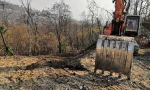 WhatsApp Image 2022 01 26 at 12.01.11