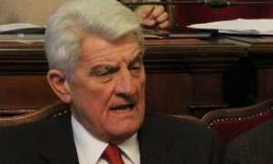 anselmi benamino nov 16